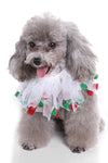 Christmas Themed Pet Outfits