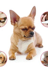 Antibacterial Dog Deodorant - TikTok Pet Shop