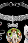 Bling Rhinestone Pet Collars - TikTok Pet Shop