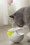 Cat Stick Tumbler - TikTok Pet Shop
