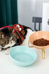 Ceramic Pet Bowl - TikTok Pet Shop