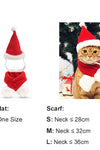 Christmas Pet Hats - Tiktokpetshop