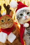 Christmas Pet Hats - Tiktokpetshop