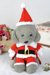 Christmas Santa Pet Costume - TikTok Pet Shop