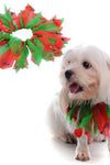 Christmas Themed Pet Outfits - Tiktokpetshop