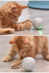 Colorful LED Laser USB Rechargeable Cat Ball - TikTok Pet Shop