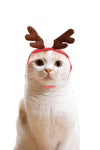 Cute Christmas Cloak Costumes - TikTok Pet Shop