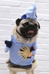 Cute Funny Halloween Costumes For Pets - TikTok Pet Shop