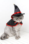 Cute Halloween Pet Cloaks - TikTok Pet Shop