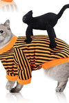 Cute Halloween Pet Costumes - TikTok Pet Shop