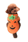 Cute Halloween Pumpkin Costume For Dogs And Cats - TikTok Pet Shop