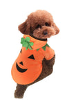 Cute Halloween Pumpkin Costume For Dogs And Cats - TikTok Pet Shop