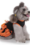 Cute Halloween Themed Pumpkin & Ghost Dresses - TikTok Pet Shop