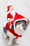 Cute Pet Christmas Costumes - Tiktokpetshop