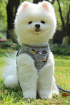 Cute Reflective Pet Vest And Leash - TikTok Pet Shop
