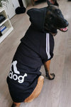 Cute & Warm Dog Hoodie - TikTok Pet Shop