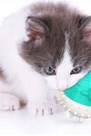 Electric Vibrating Gnawing Cat Toy - TikTok Pet Shop