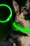 Flashing Collar USB Rechargeable Glowing Necklace Safety Collar - TikTok Pet Shop