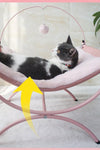 Four Seasons Cat Recliner Cat Bed - TikTok Pet Shop