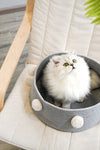 Four seasons Cotton Thread Cat Bed - TikTok Pet Shop