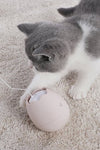 Funny Cat Egg Toy - TikTok Pet Shop