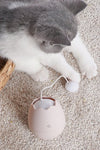Funny Cat Egg Toy - TikTok Pet Shop