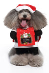 Funny Dog Costumes - TikTok Pet Shop
