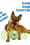 Funny Dog Interactive Ball With Sounds - TikTok Pet Shop