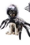 Funny Halloween Pet Hats - TikTok Pet Shop
