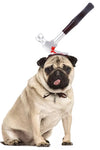 Funny Halloween Pet Headgear - TikTok Pet Shop