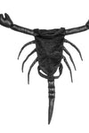 Funny Halloween Scorpion Cat Costume - TikTok Pet Shop