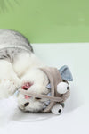 Funny Interactive Cat Hooded Toy - TikTok Pet Shop
