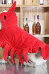 Funny Lobster Halloween Pet Costume - Tiktokpetshop