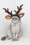 Funny Pet Christmas Antlers Headband - Tiktokpetshop