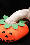 Funny Pet Halloween Pumpkin Collar - TikTok Pet Shop