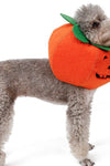 Funny Pet Halloween Pumpkin Collar - TikTok Pet Shop