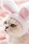 Funny Pet Rabbit Themed Hat - TikTok Pet Shop