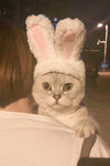 Funny Pet Rabbit Themed Hat - TikTok Pet Shop
