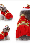 Halloween Funny Alternative Pet Clothes Personalized Dress Up - TikTok Pet Shop
