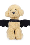 Halloween Pet Bat Wings - TikTok Pet Shop