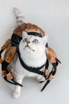 Halloween Pet Cat Spider Costume - TikTok Pet Shop