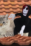 Halloween Pet Costume Spider Pumpkin Rider - TikTok Pet Shop