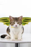 Halloween Pet Dinosaur Wings - TikTok Pet Shop
