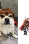 Halloween Pet Hair Wig - TikTok Pet Shop