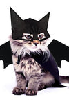 Halloween Pet Mask And Bat Wings Costume - TikTok Pet Shop