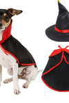 Halloween Wizard Dog Costume - TikTok Pet Shop