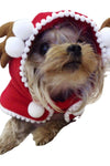 Hooded Funny Pet Halloween And Christmas Themed Costumes - TikTok Pet Shop