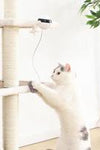 Motion Sensor Interactive Cat Toy - Tiktokpetshop