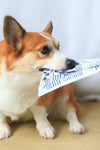 Newspaper Dog Toy With Sounds - Tiktokpetshop