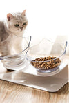 Non Slip Double Cat Bowl With Raised Stand - Tiktokpetshop